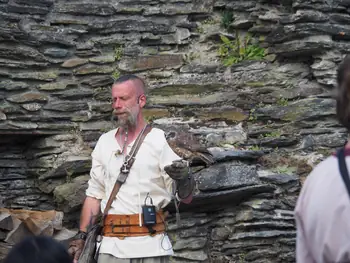 Roofvogelshow in Château de La Roche-en-Ardenne (België)